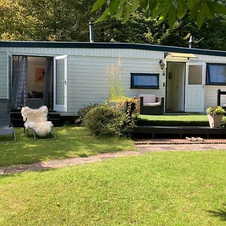 Charmant Chalet Op Een Bospark Op De Veluwe Villa Putten Luaran gambar